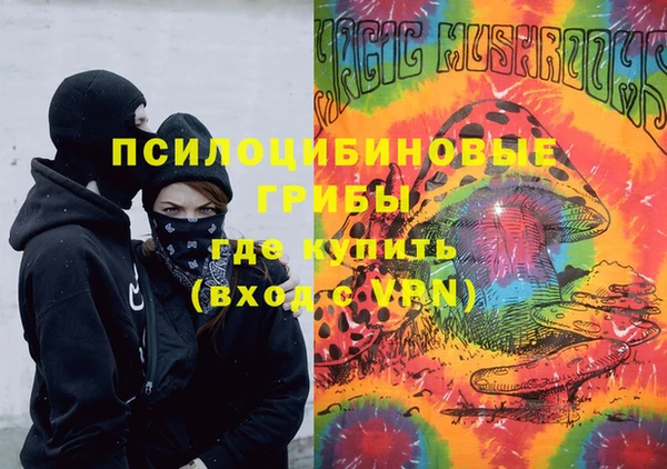 гидропоника Богданович