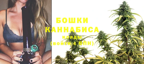 гидропоника Богданович