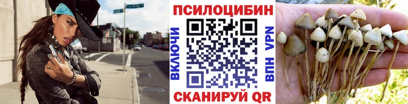 мориарти официальный сайт  Кемь  Галлюциногенные грибы Psilocybine cubensis 